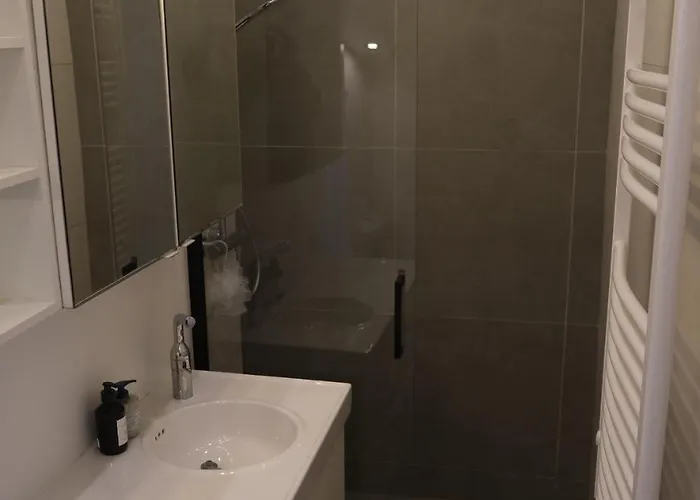 Apartment Batignolles-montmartre / Mathieu Paris